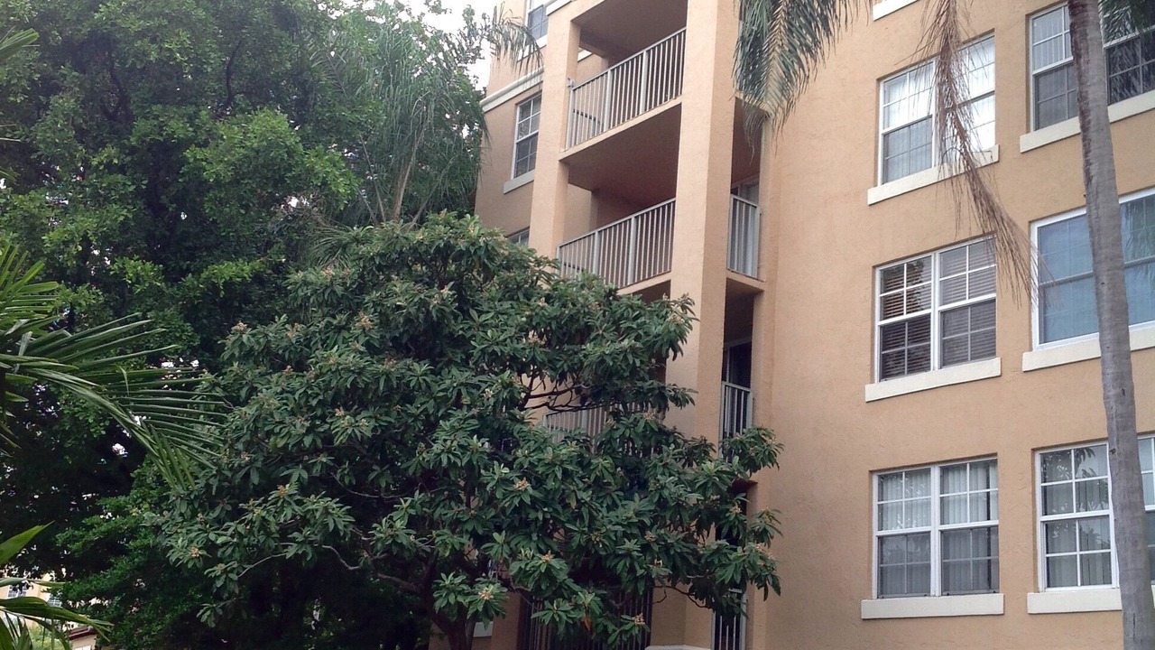 Photo of Outdoor in Aventura