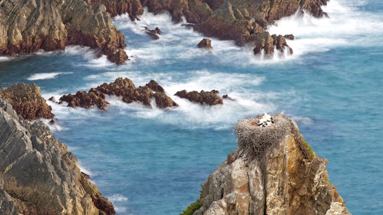 Photo of Others in Vila Nova de Milfontes