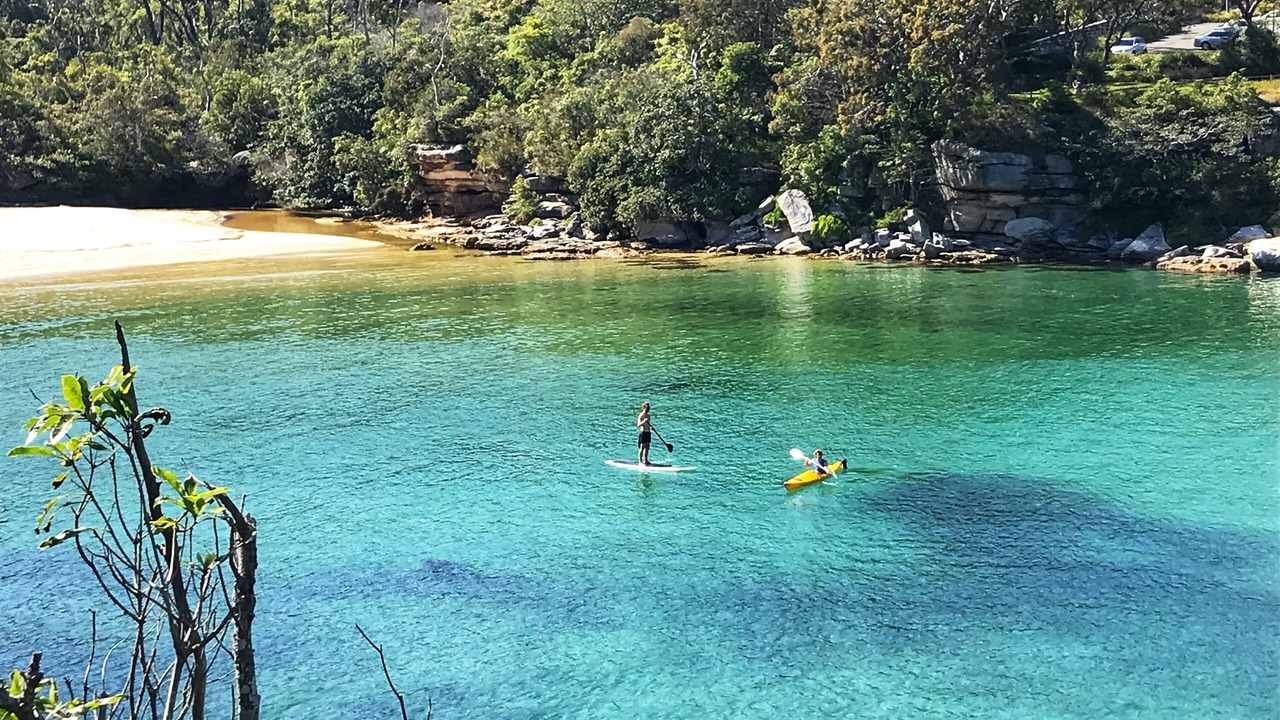 Photo of Others in Manly