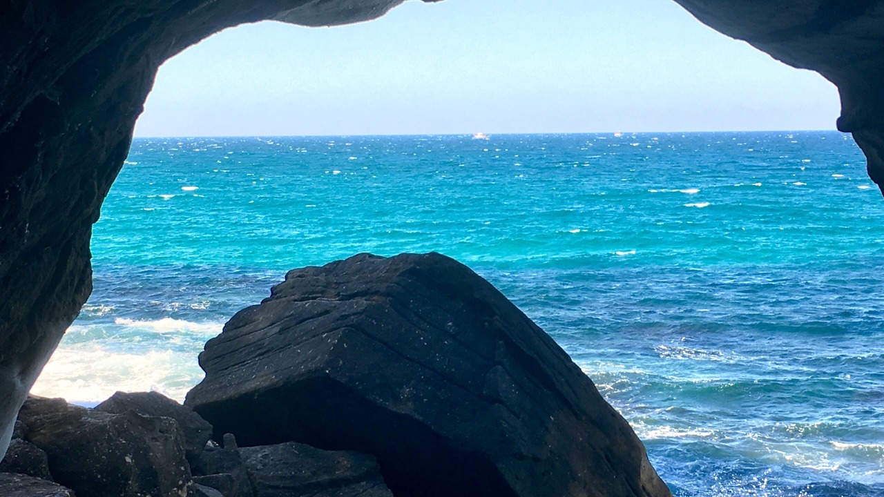 Photo of Others in Manly