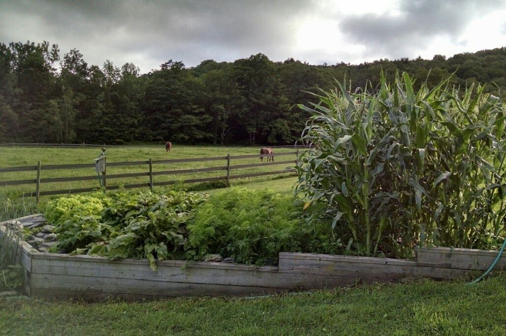 Photo of Outdoor in Williamstown