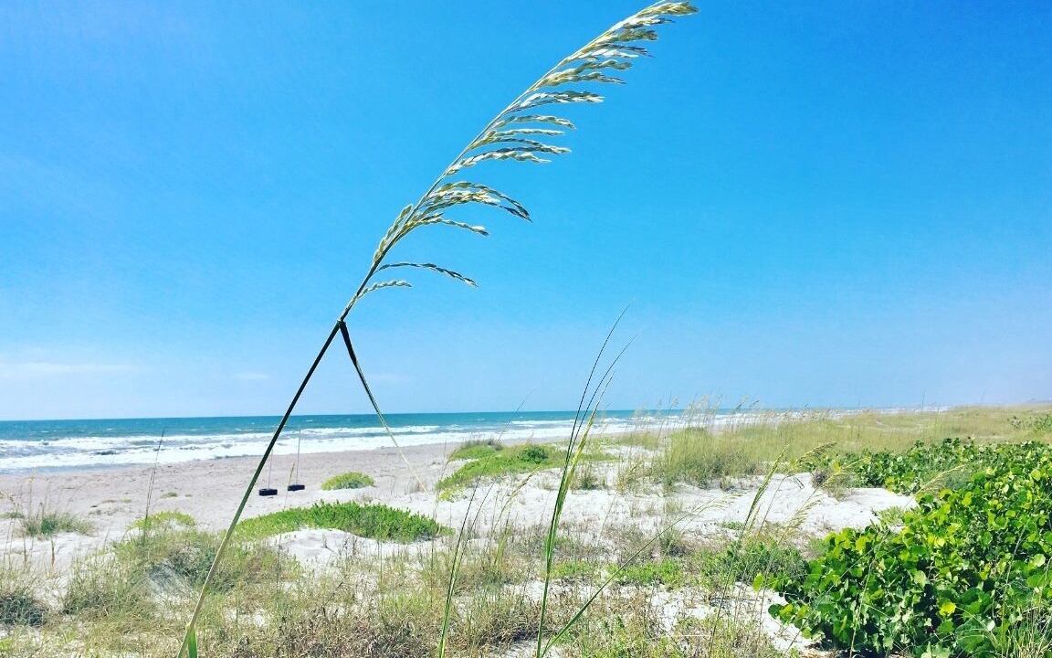 Photo of Others in Crescent Beach