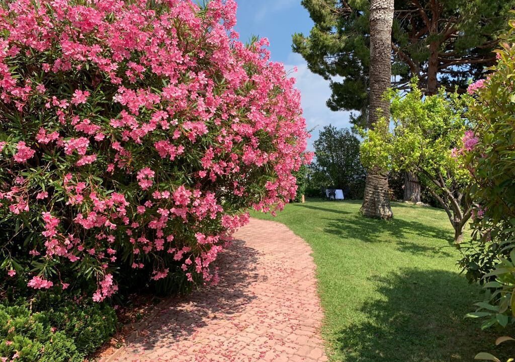 Photo of Outdoor in Caucade