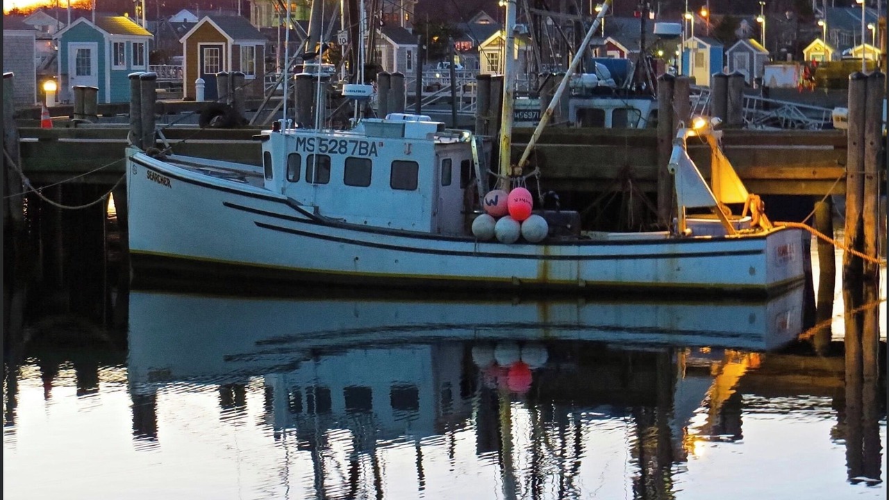 Photo of Others in West Harwich