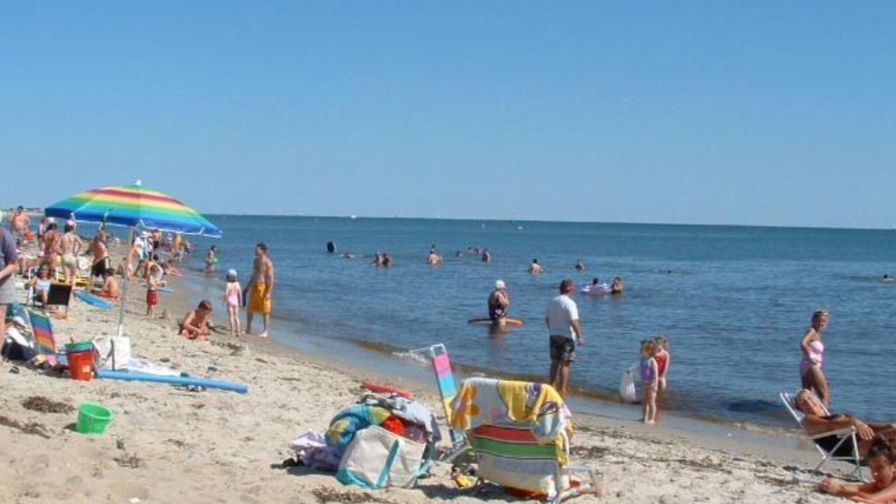 Photo of Others in West Harwich
