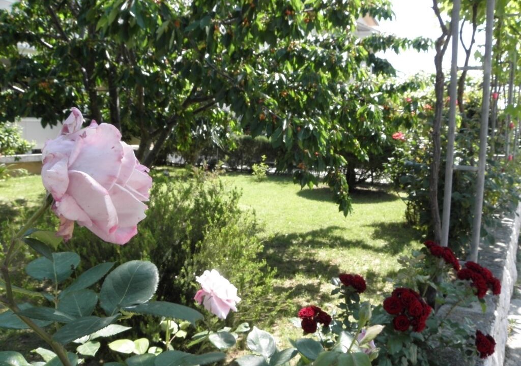 Photo of Outdoor in Lopar