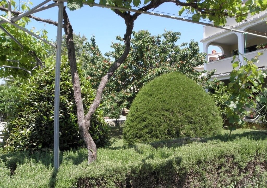Photo of Outdoor in Lopar