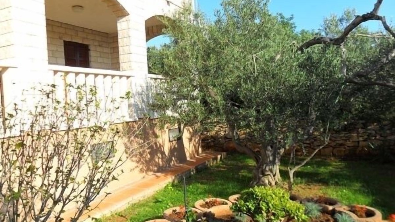 Photo of Outdoor in Sucuraj