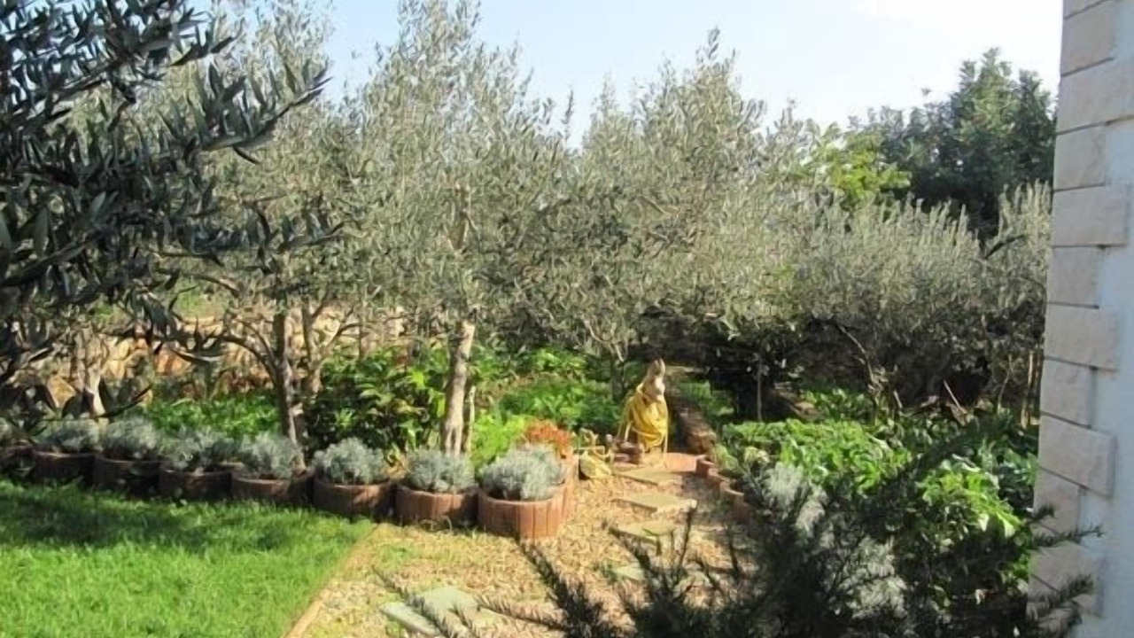 Photo of Outdoor in Sucuraj