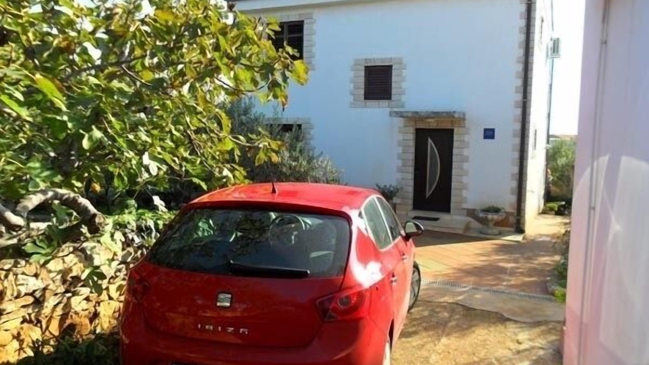 Photo of Others in Sucuraj