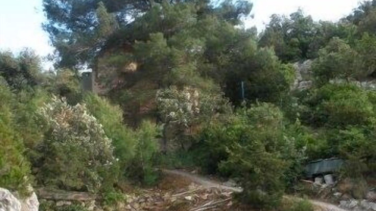 Photo of Outdoor in Cove Basina (Jelsa)