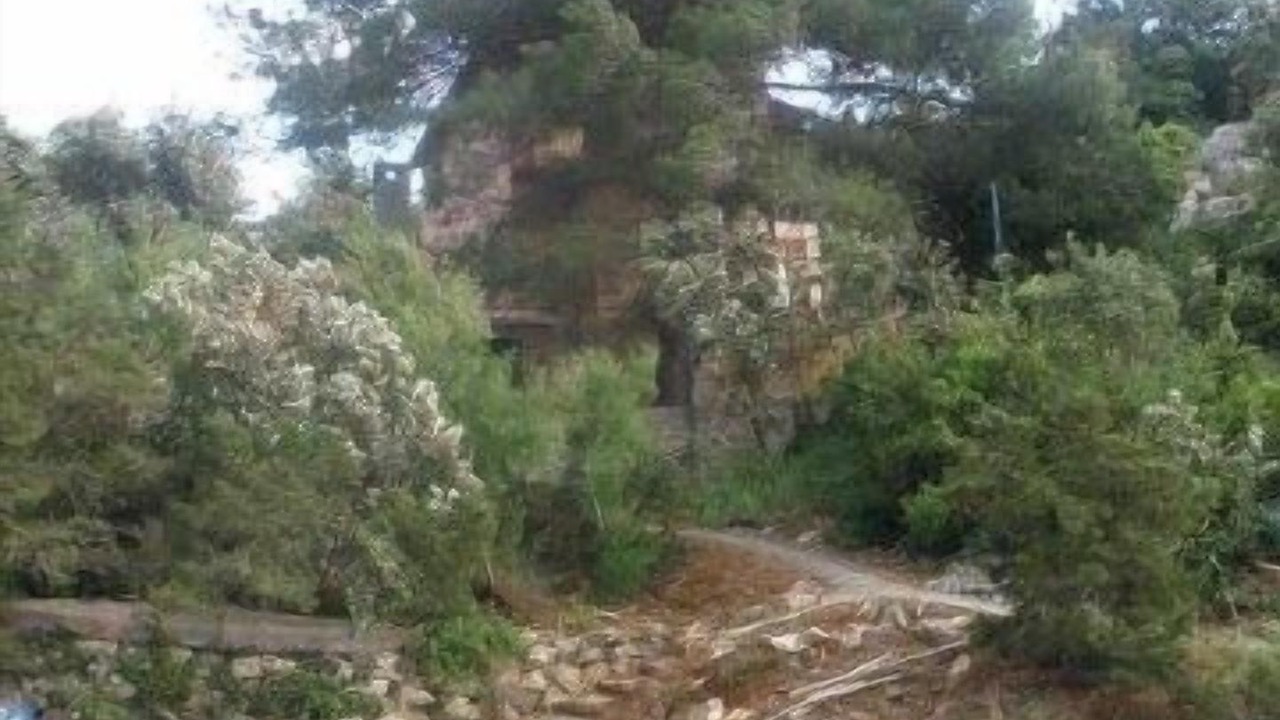 Photo of Outdoor in Cove Basina (Jelsa)