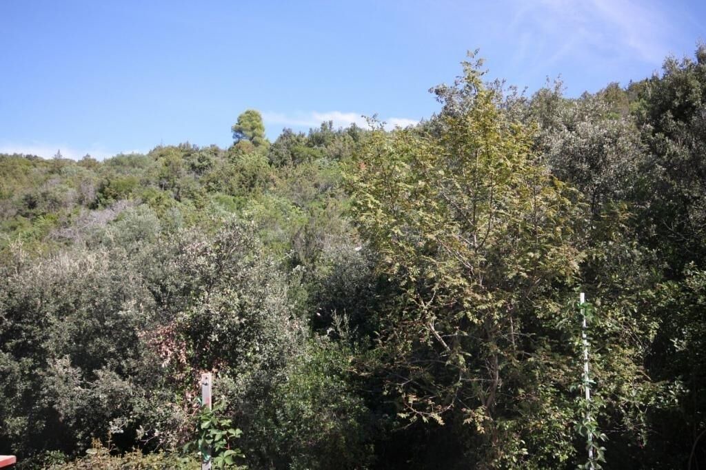 Photo of Others in Cove Basina (Jelsa)