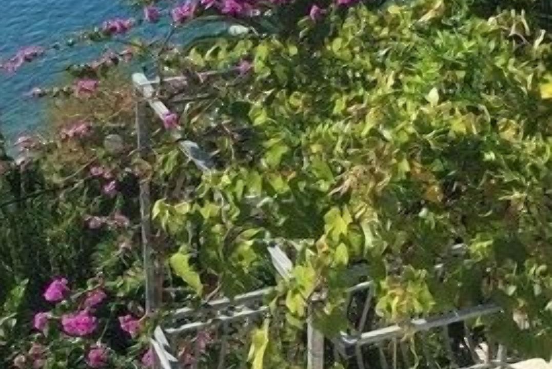 Photo of Outdoor in Stanici