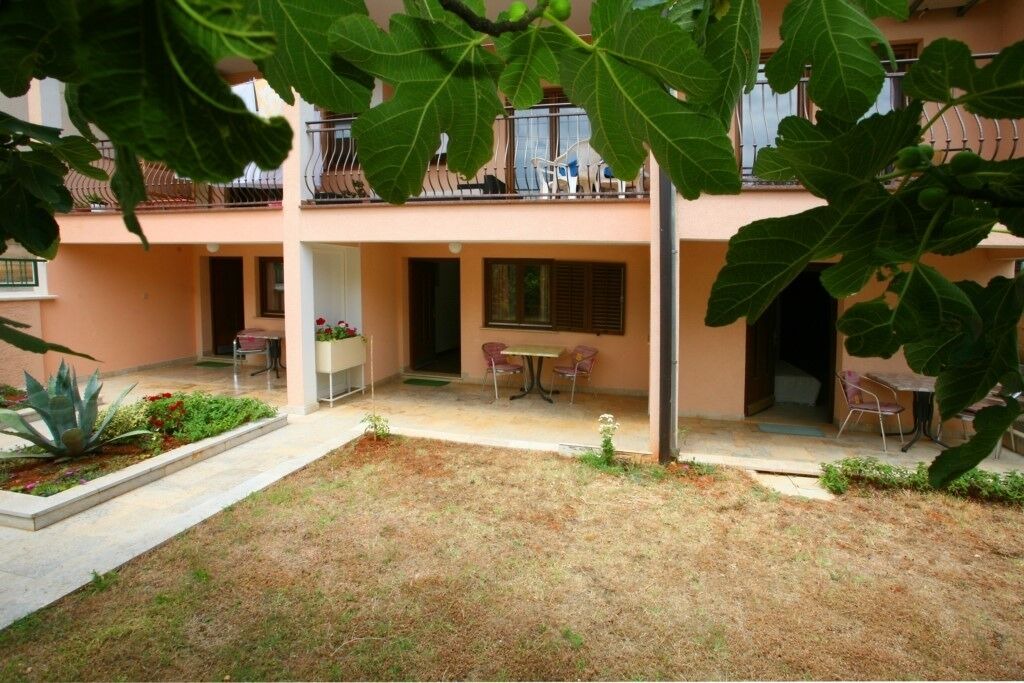 Photo of Outdoor in Brulo
