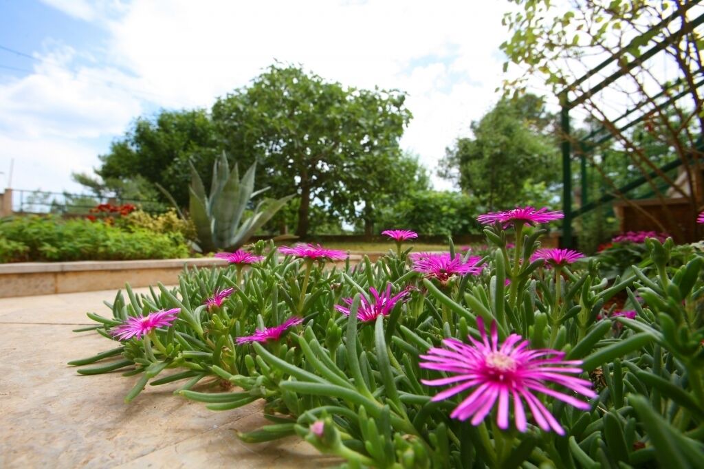 Photo of Outdoor in Brulo