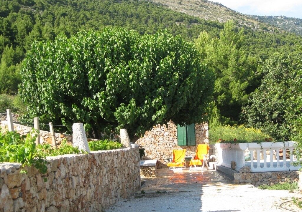 Photo of Outdoor in Bol