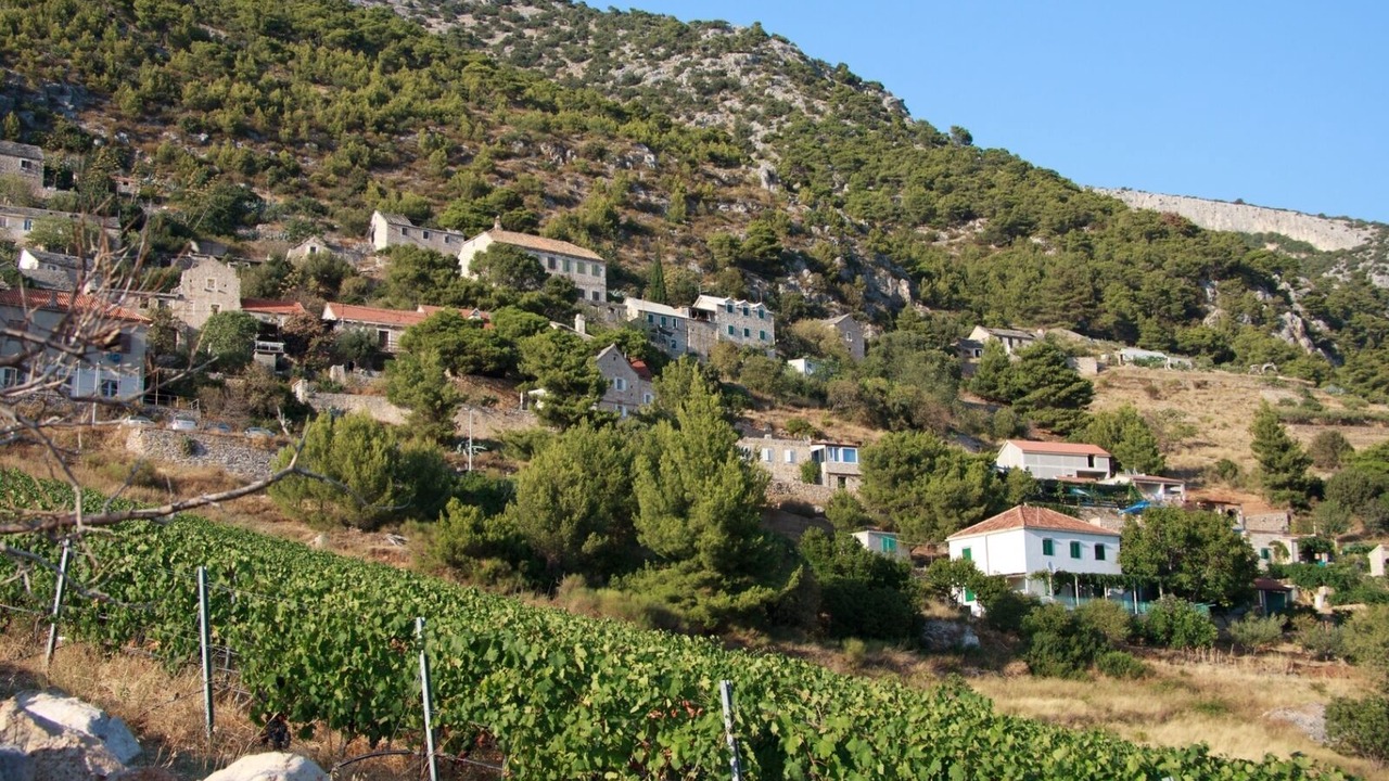 Photo of Others in Murvica
