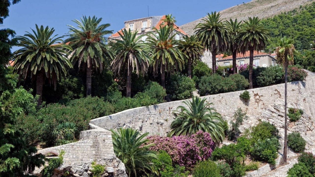 Photo of Others in Dubrovnik Old Town