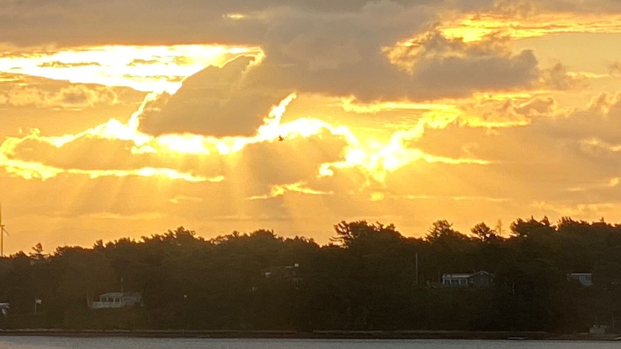 Photo of Others in Buzzards Bay