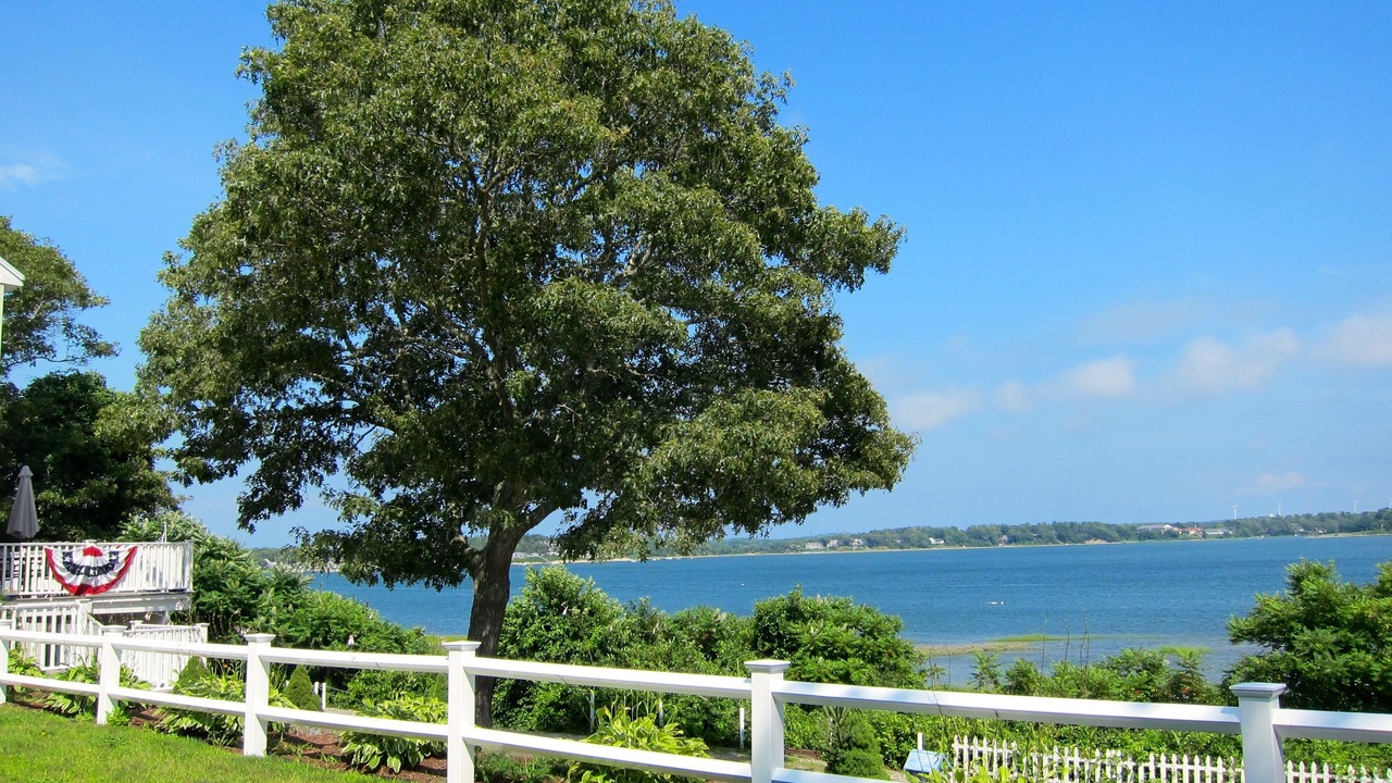 Photo of Others in Buzzards Bay