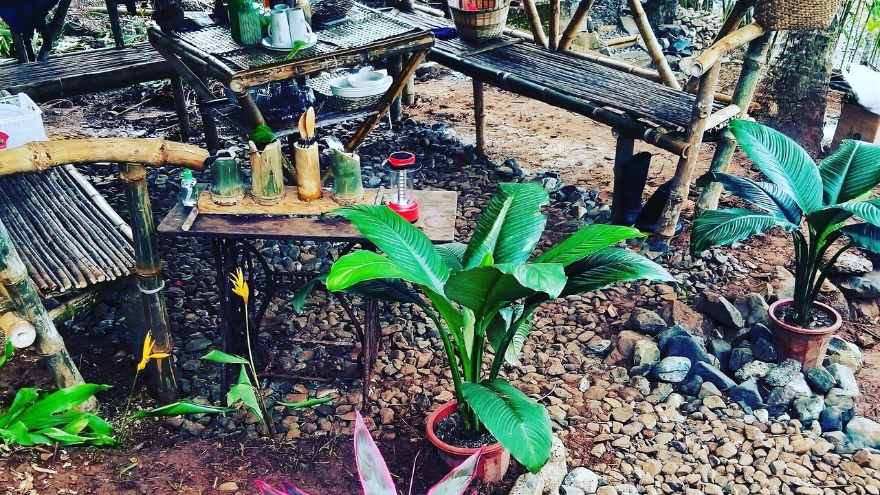 Photo of Outdoor in Basilisa