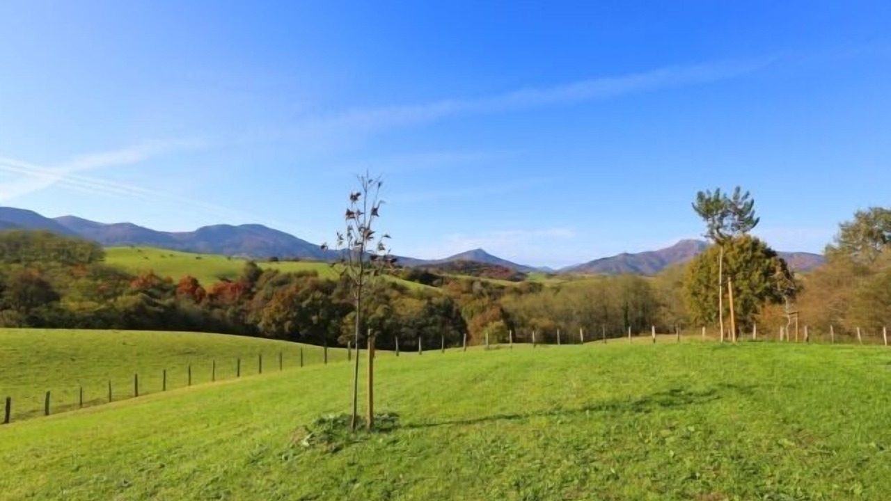Photo of Outdoor in Zugarramurdi