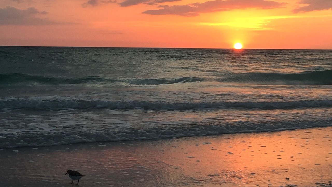 Photo of Others in Bradenton Beach