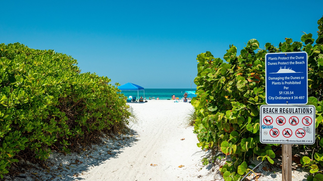 Photo of Others in Bradenton Beach