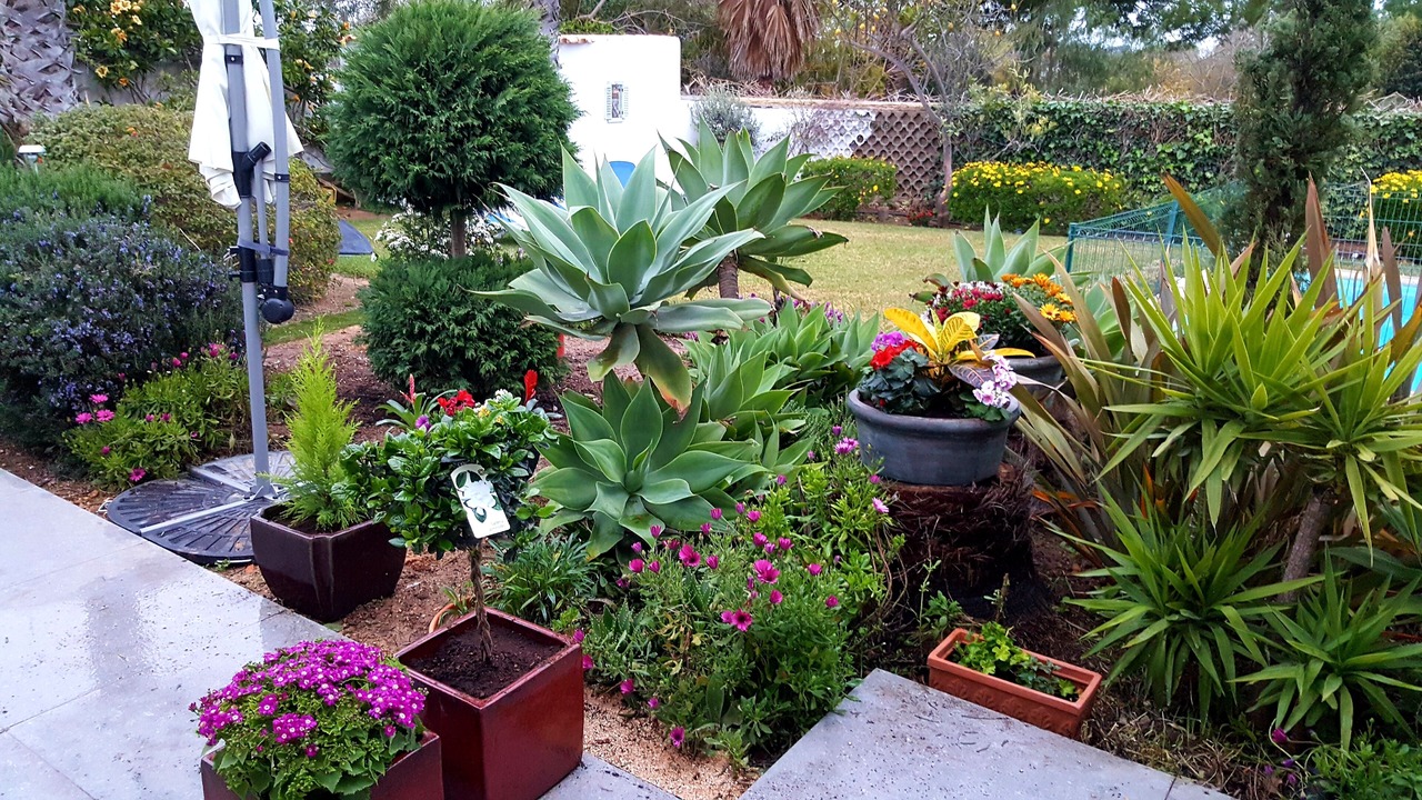 Photo of Outdoor in Mato Serrao