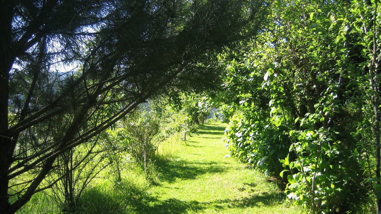 Photo of Others in Cossourado