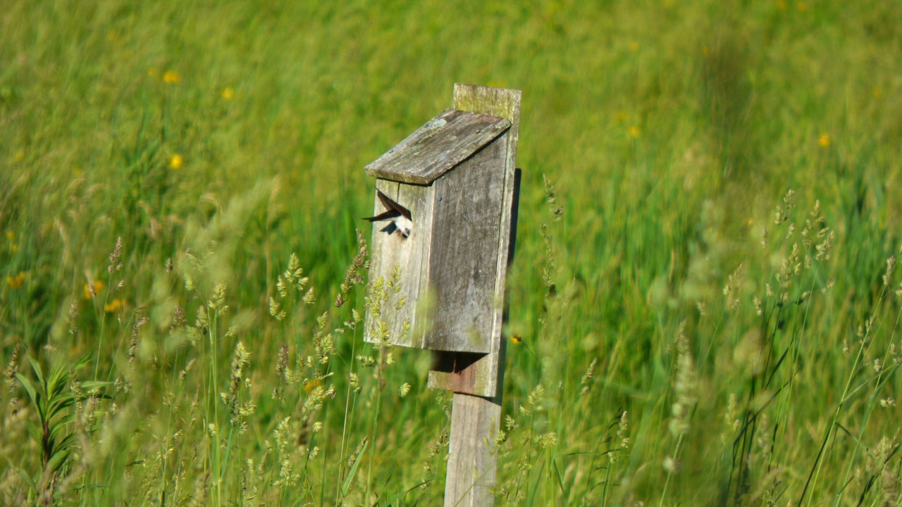 Photo of Others in Hawley