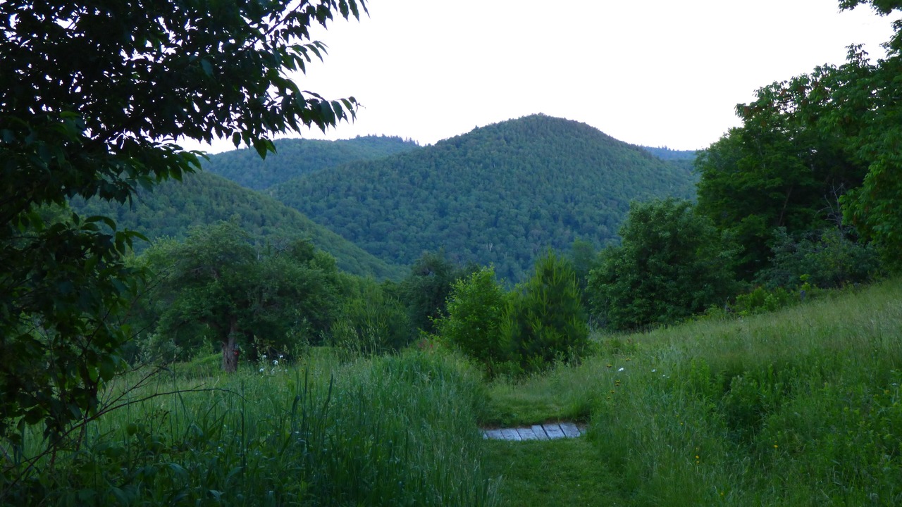 Photo of Outdoor in Hawley