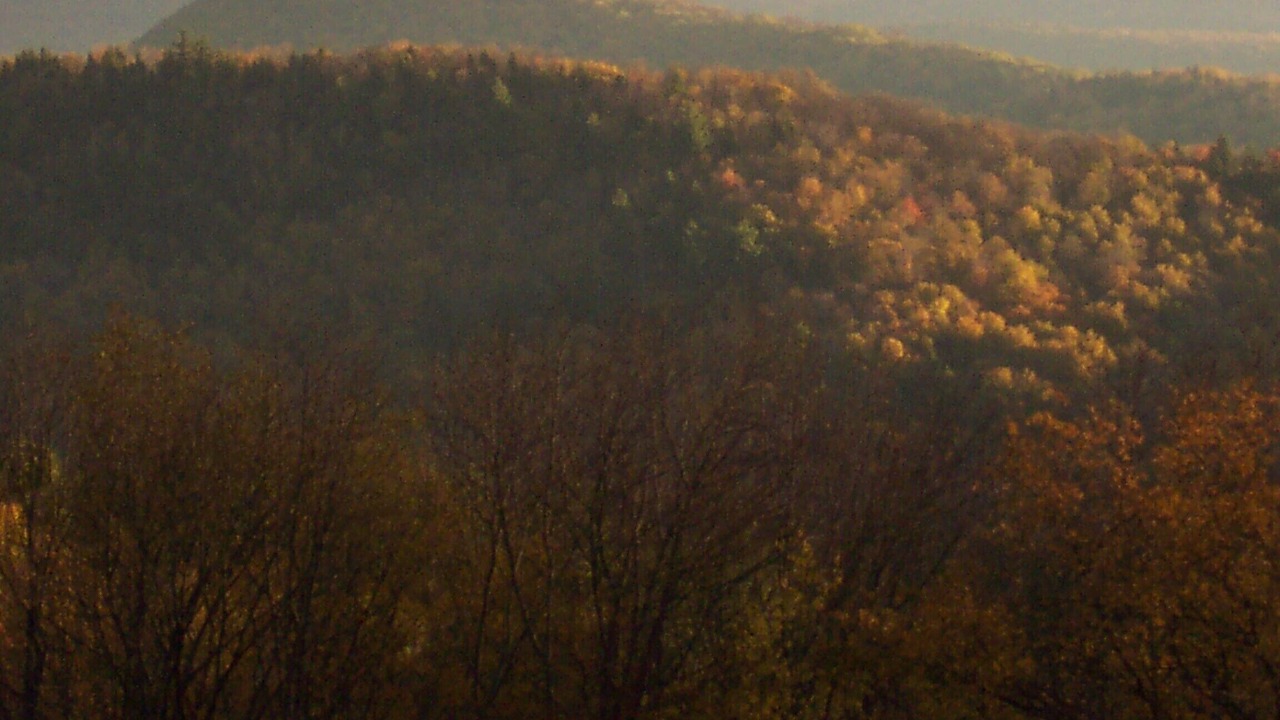 Photo of Others in Hawley