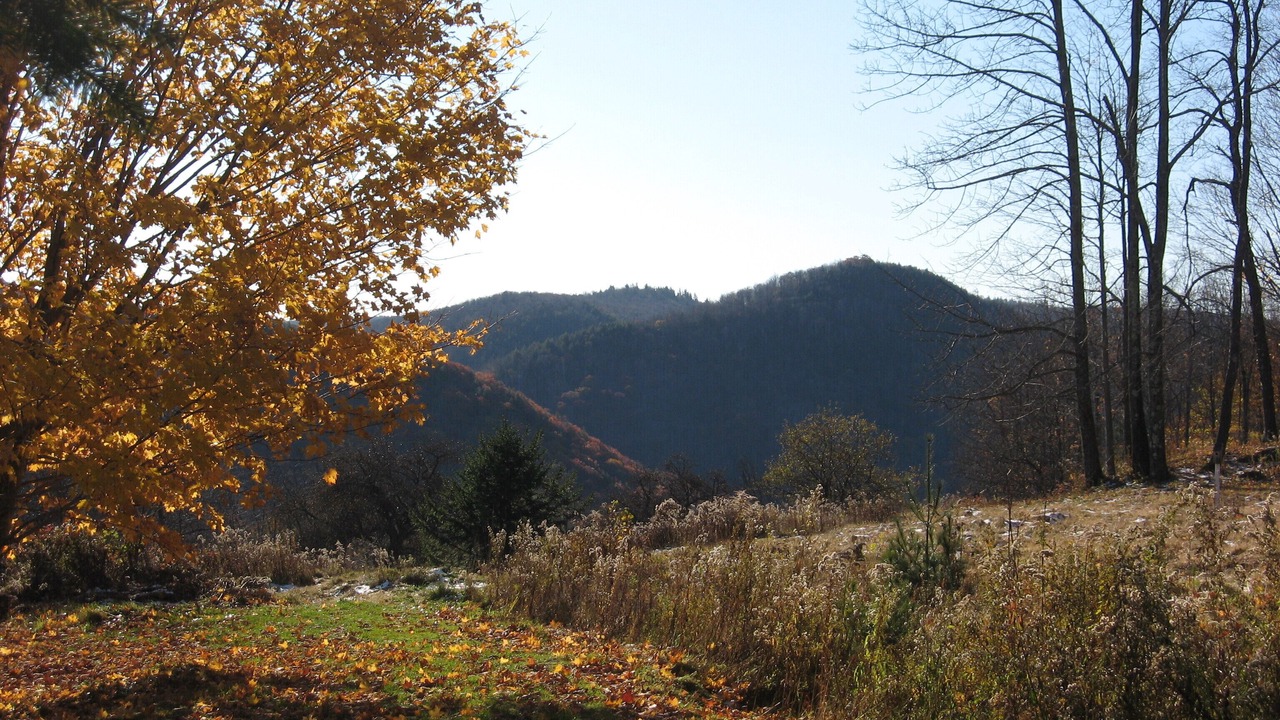 Photo of Outdoor in Hawley