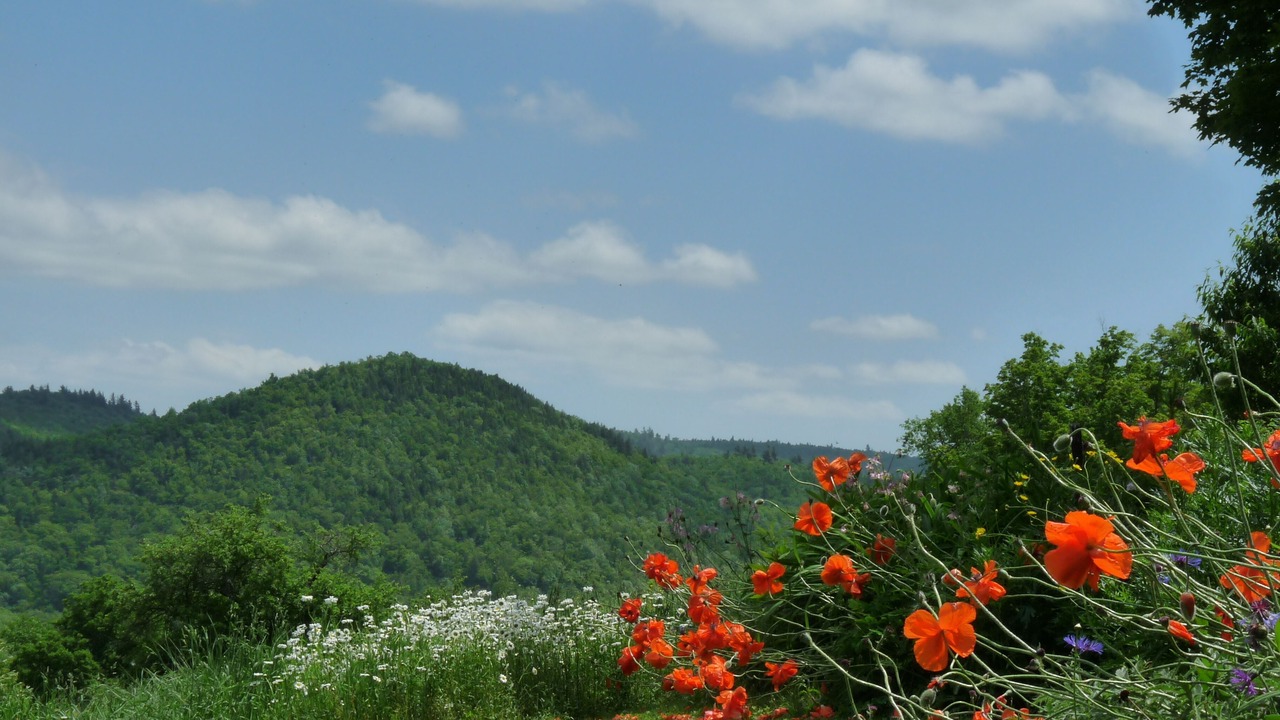 Photo of Outdoor in Hawley