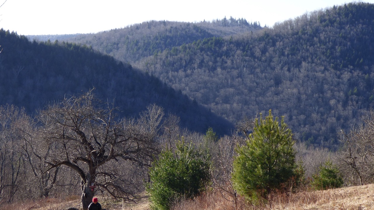 Photo of Outdoor in Hawley