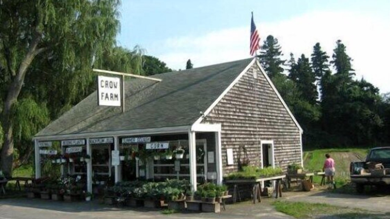 Photo of Outdoor in East Sandwich