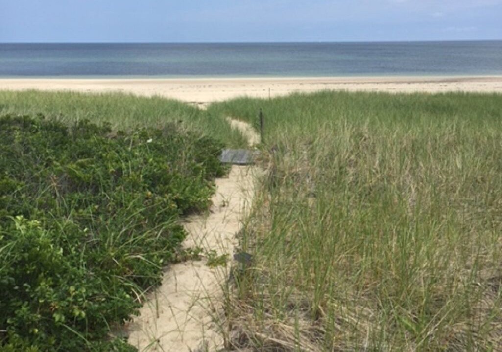 Photo of Others in Sagamore Beach
