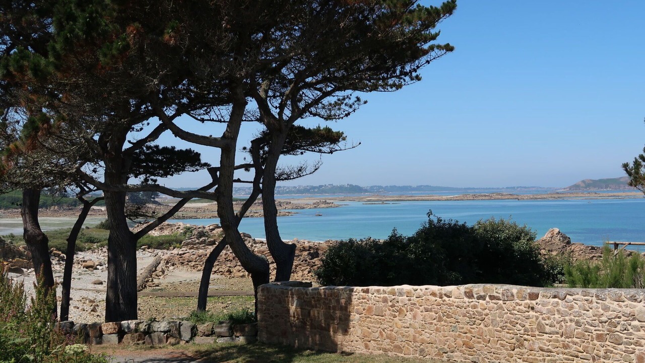 Photo of Others in Trevou-Treguignec