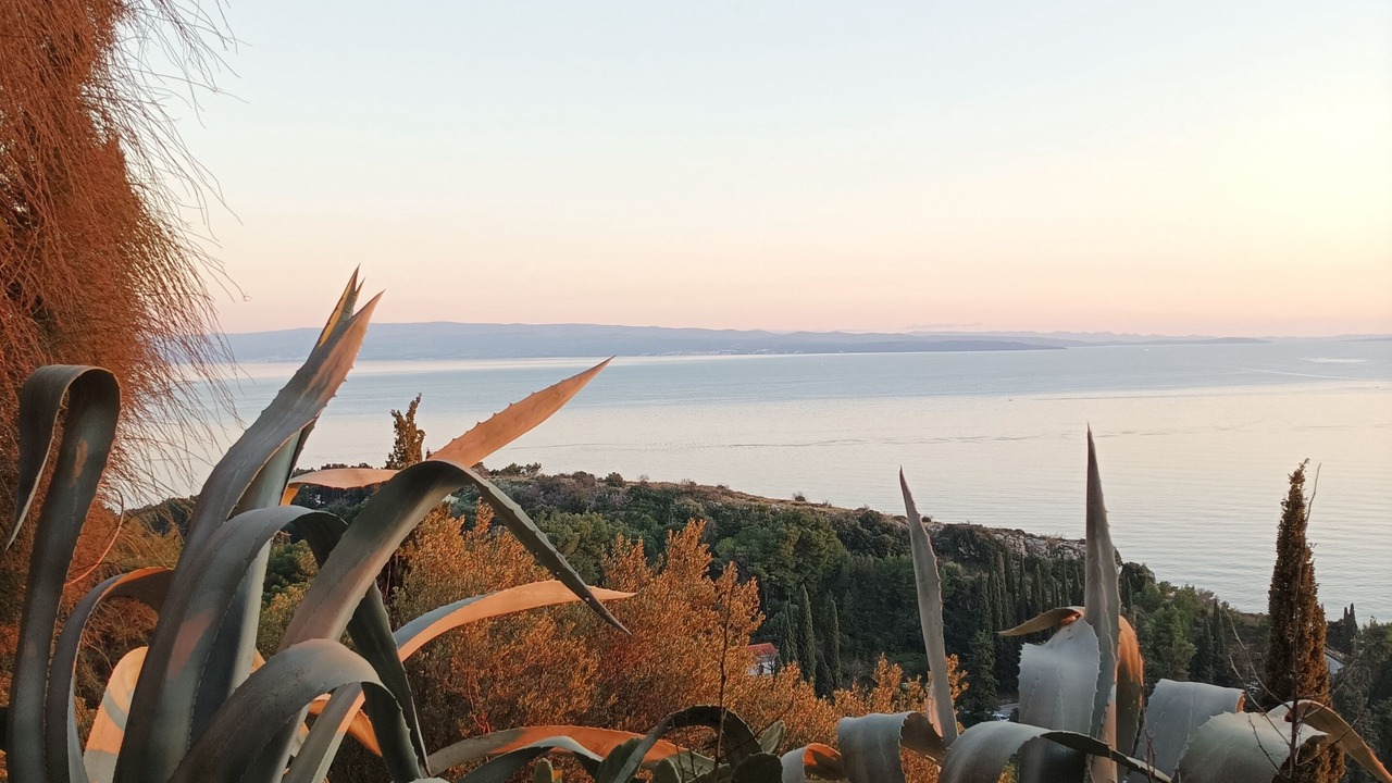 Photo of Outdoor in Seget