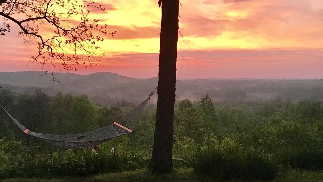 Photo of Outdoor in Nashville