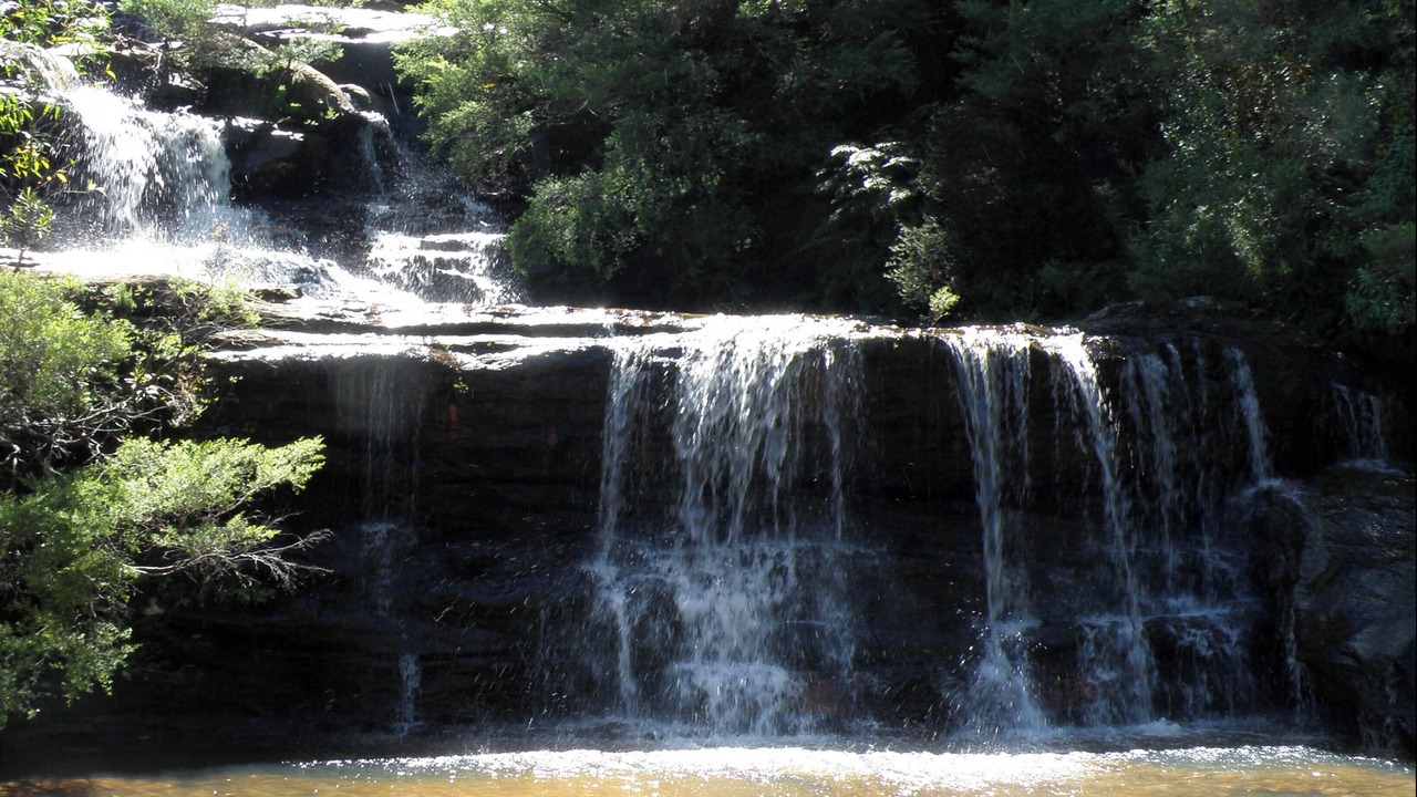 Photo of Others in Katoomba