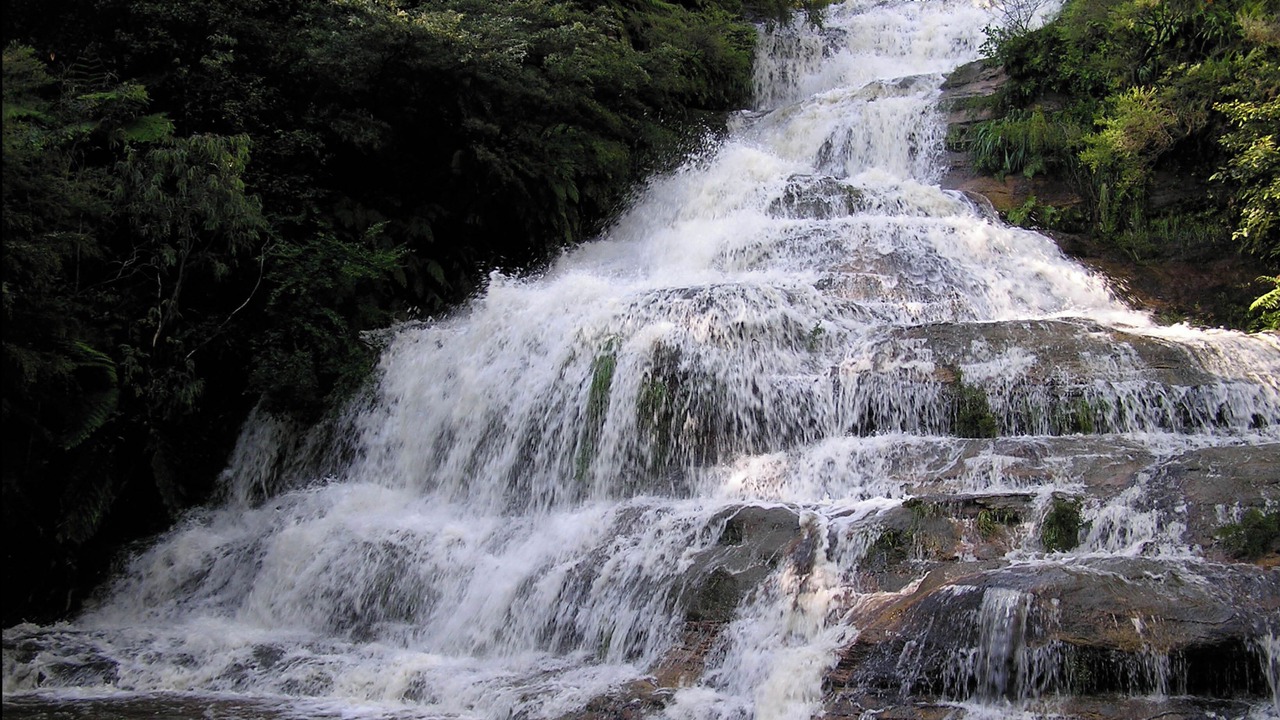 Photo of Outdoor in Katoomba