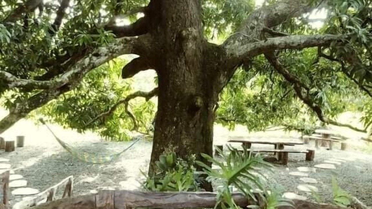 Photo of Outdoor in Bolinao
