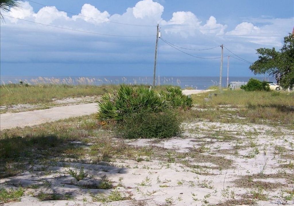 Photo of Others in Alligator Point