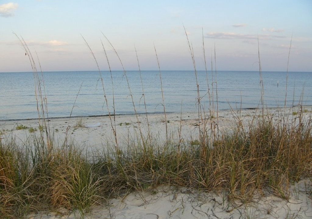 Photo of Others in Alligator Point