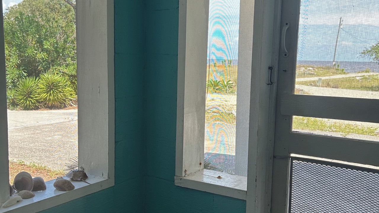 Photo of Outdoor in Alligator Point