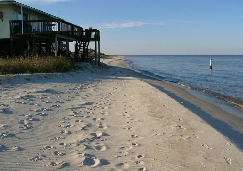 Photo of Others in Alligator Point