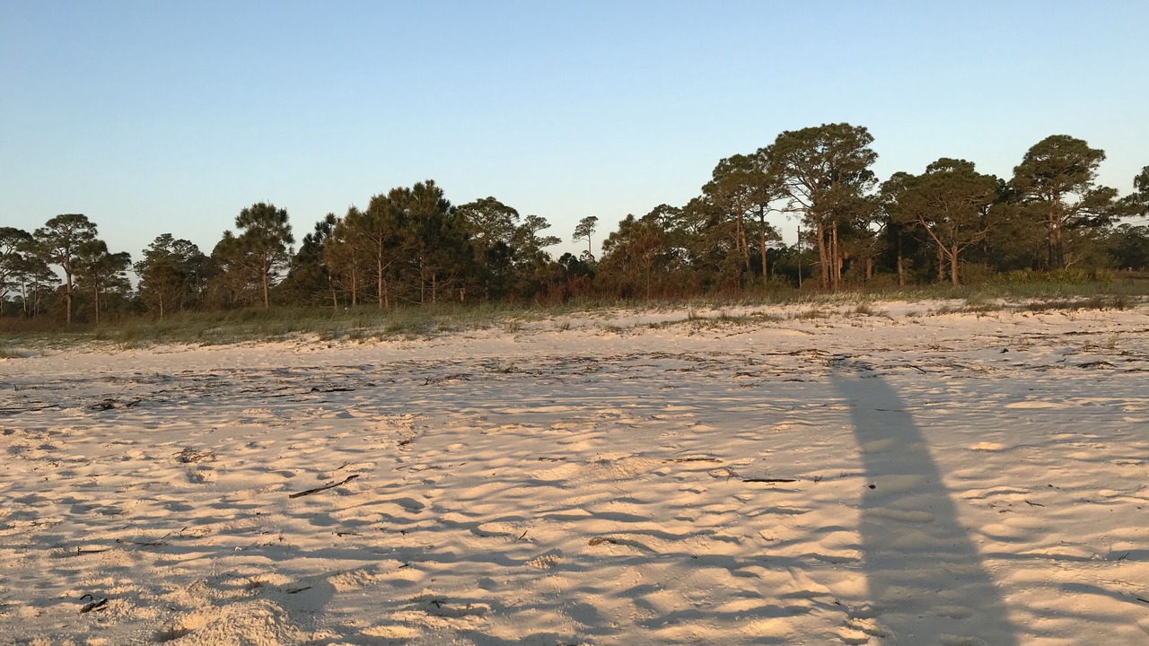 Photo of Others in Alligator Point
